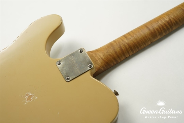 XTC-1 - Desert sand / Medium Aged / Alder / M / Roasted Flame Maple Neck #2606